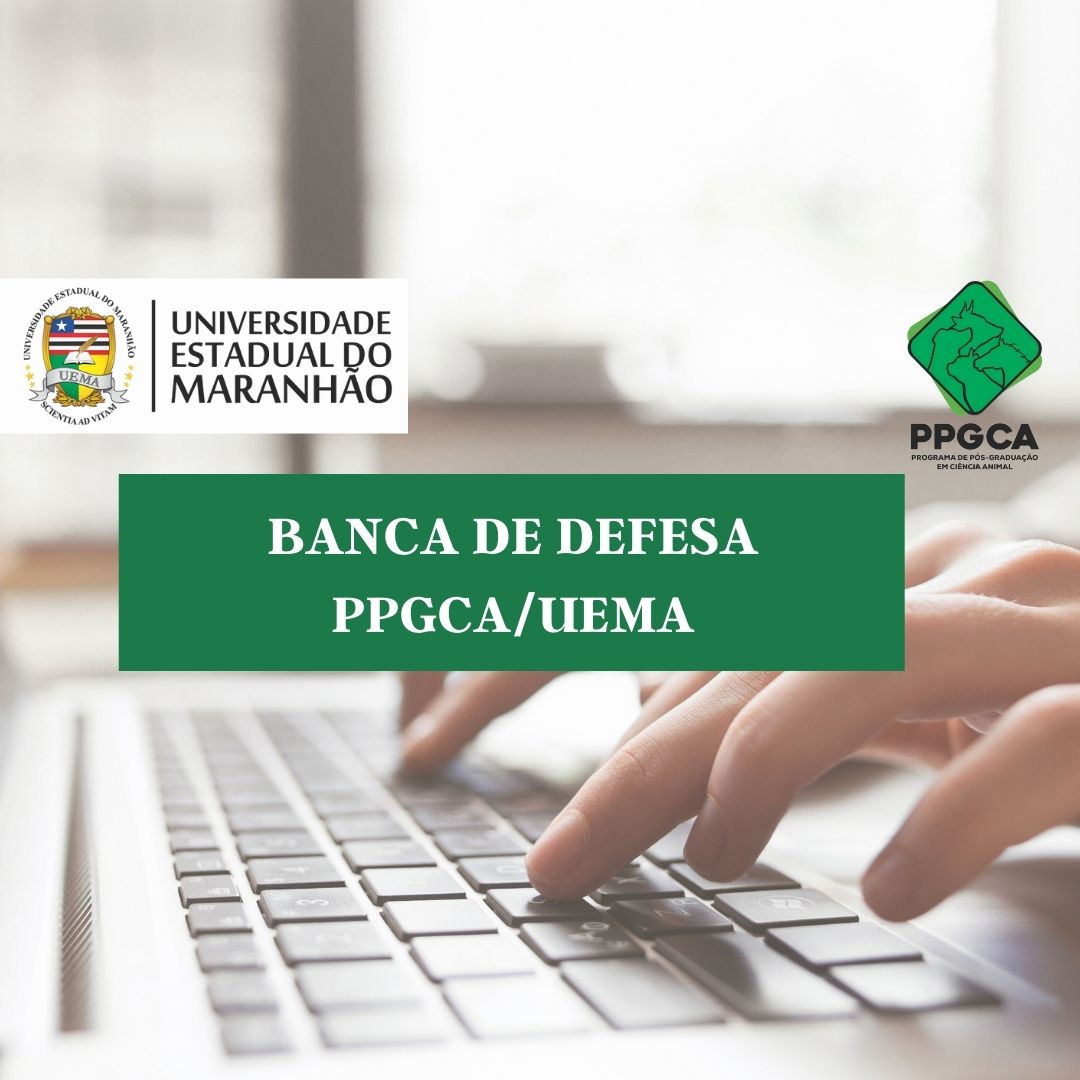 Banca de DEFESA de MESTRADO: THAIS AVELAR VIEIRA