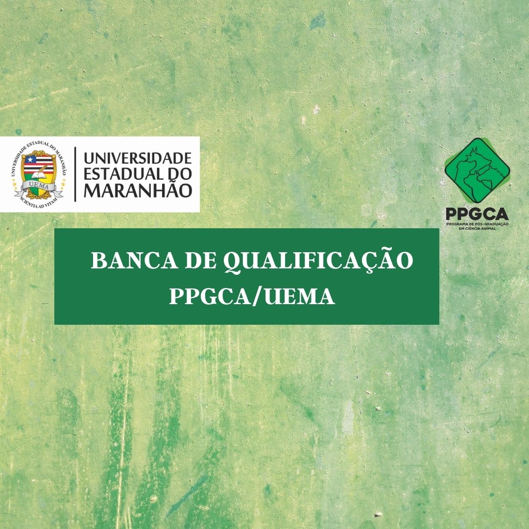 Banca de QUALIFICAÇÃO de MESTRADO:  AMANDA DA SILVA MOREIRA