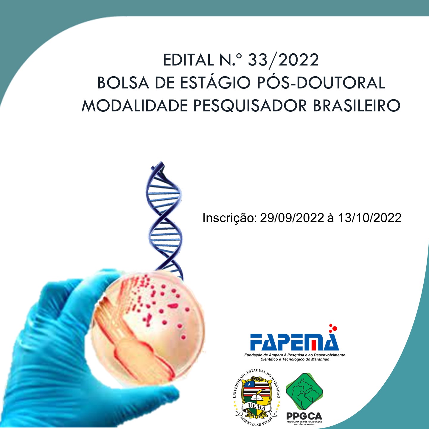 EDITAL N.º 33/2022-PPG/CPG/UEMA – BOLSA DE ESTÁGIO PÓS-DOUTORAL MODALIDADE PESQUISADOR BRASILEIRO – PPGCA