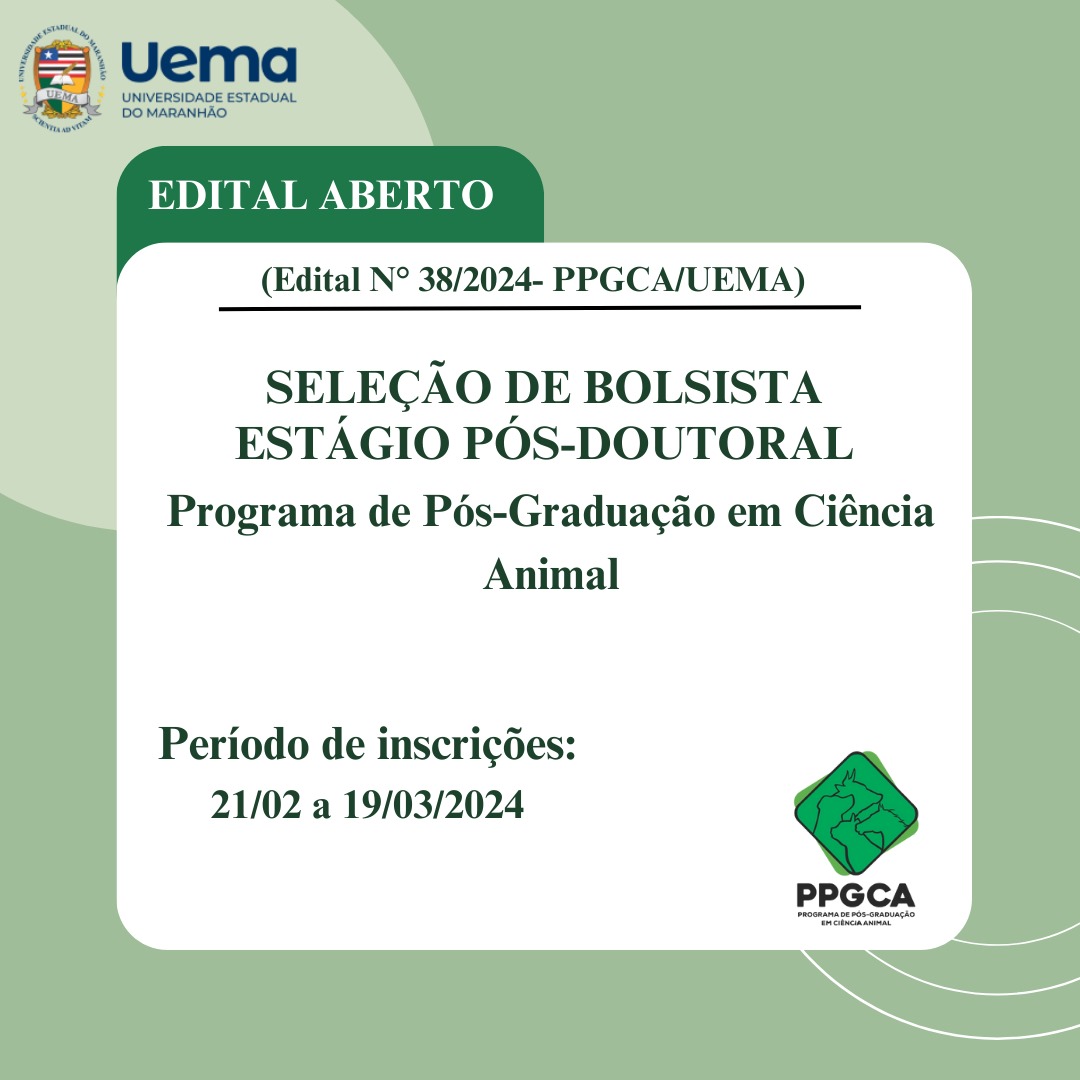 Resultado Preliminar do Edital Nº 38 /2024-PPGCA/UEMA – Concessão de Bolsa de Estágio Pós-Doutoral