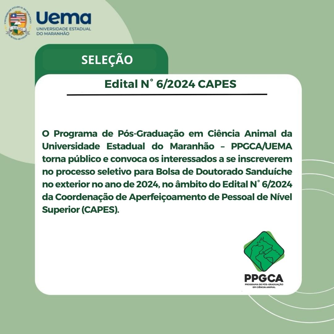 SELEÇÃO PARA PROGRAMA INSTITUCIONAL DE DOUTORADO SANDUÍCHE NO EXTERIOR (PDSE) – Edital N° 6/2024 CAPES