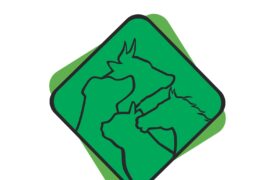 RETIFICAÇÃO Nº 01/2025 DO EDITAL N.º 267/2025-PPG/CPG/UEMA PROGRAMA DE PÓS-GRADUAÇÃO STRICTO SENSU EM CIÊNCIA ANIMAL